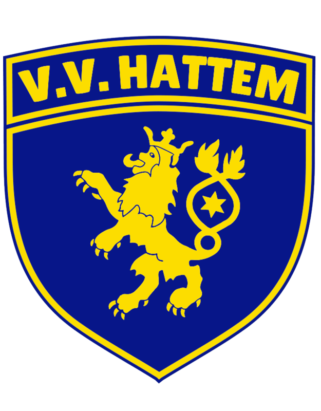 VV Hattem